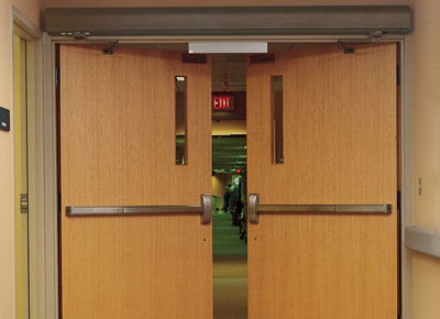 Wooden Acoustic Fire Door for Soundproof and Fire Rated Applications in Pan India